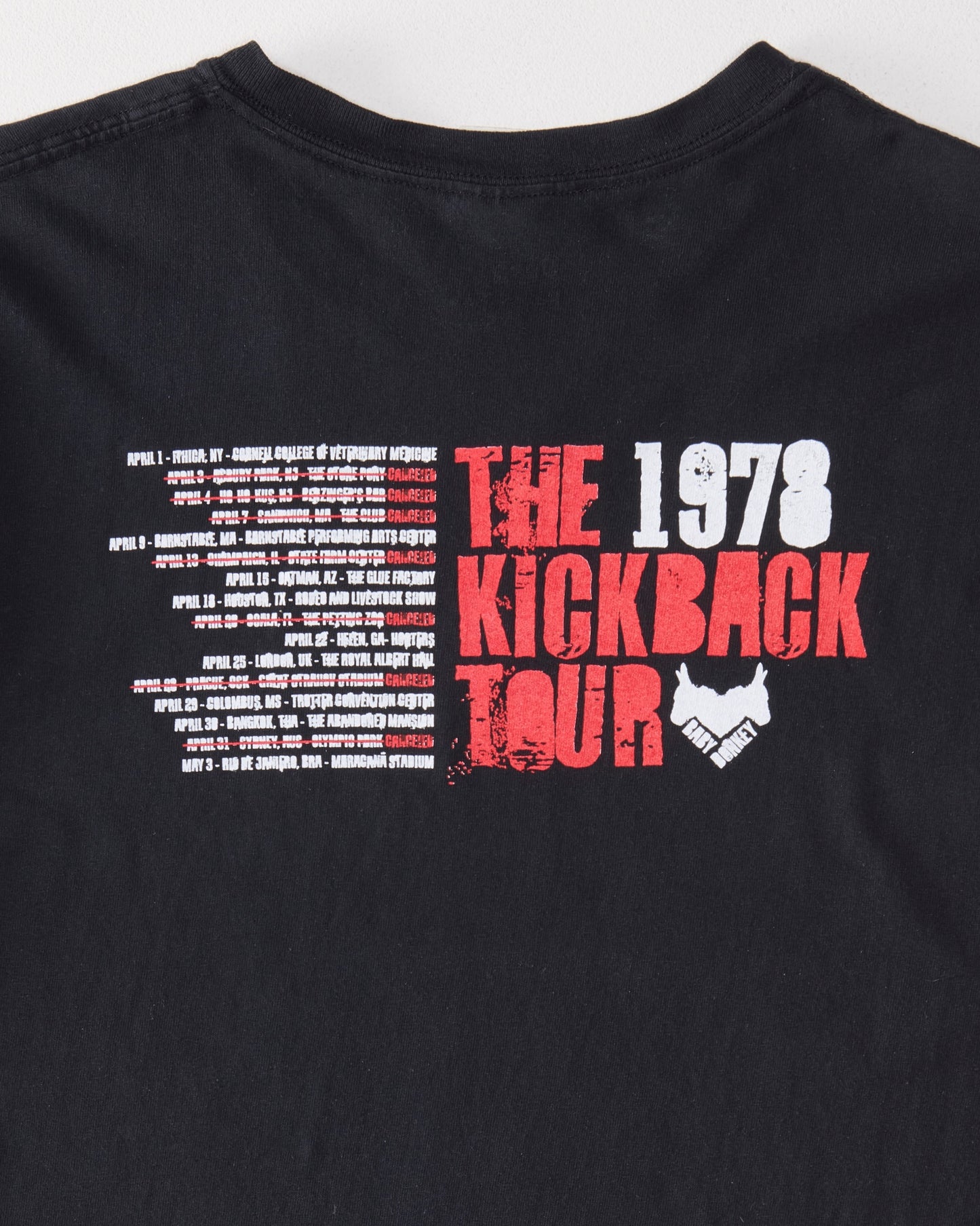 Baby Donkey Vintage T Shirt, edition 20/20